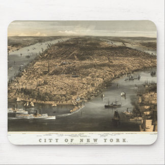 1856 New York City NY Birds Eye Uitzicht door Muismat