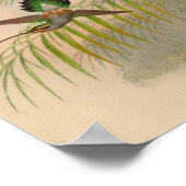  1861 Hermit Hummingbird Print (Hoek)