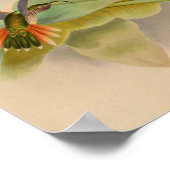 1861 Hummingbird Print Sickle Billing (Hoek)