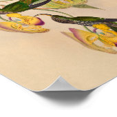  1861 Hummingbird Print Sickle Billing (Hoek)