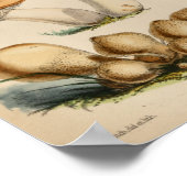  1863 Paddenstoelen met bruin geel Pet Poster (Hoek)