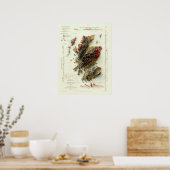 1865 Scotland Geological Map digitally rendering Poster (Keuken)