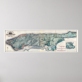1865.Topografische kaart van de stad New York Poster