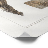 1867 Foot Ankle Botten  Anatomy Print (Hoek)