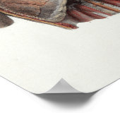 1867 Lungs Chest Anatomy Print (Hoek)