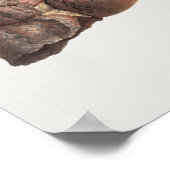 1867 Lungs Hart  anatomie Afdrukken Poster (Hoek)