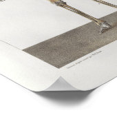 1867 Skelet Botten Anatomie Medical Print (Hoek)