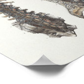 1867 Veins Spine Anatomy Print (Hoek)