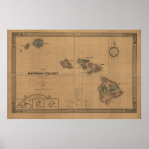 1876 Kaart van de Hawaï-eilanden Poster