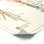  1881 Kikkerbiologie Anatomie Print (Hoek)