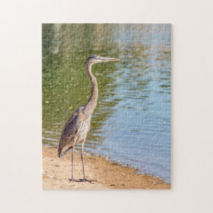 1884 - Grote blauwe reiger op Shore Puzzel Legpuzzel
