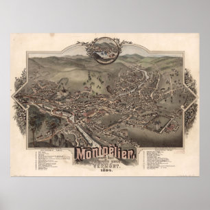 1884 Montpelier, VT Bird's Eye Uitzicht Panoramic Poster