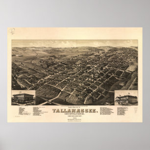 1885 Tallahassee, FL Birds Eye Uitzicht Panoramic  Poster
