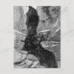 1885 Vampire Bat Illustratie Briefkaart