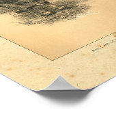  1888 Bull Print (Hoek)