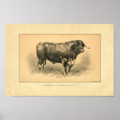 1888 Bull Print (Voorkant)