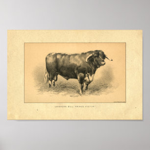 1888 Bull Print