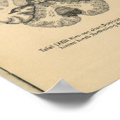 1888 Duits Anatomy Print Brain (Hoek)