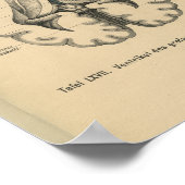  1888 Duits Anatomy Print Brain (Hoek)