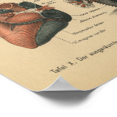  1888 Duits Anatomy Print Heart (Hoek)