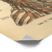  1888 Duitse anatomie drukhalsspieren Poster (Hoek)