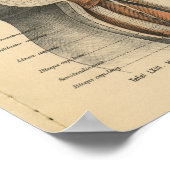  1888 Duitse anatomie drukt heupspieren af Poster (Hoek)