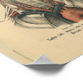 1888 Duitse anatomie Print Aortic Arch (Hoek)