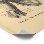  1888 Duitse anatomie printschouderarm Poster (Hoek)