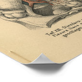  1888 Duitse Anatomy Print Abdomen (Hoek)