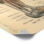  1888 Duitse Anatomy Print Boot Foot (Hoek)