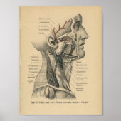  1888 Duitse anatomy Print Head Neck (Voorkant)