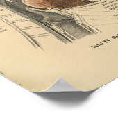  1888 Duitse Anatomy Print Neck (Hoek)