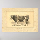  1888 Guernsey Bull Print (Voorkant)