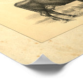  1888 Jersey Koe Print (Hoek)