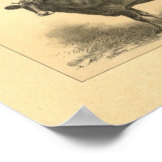 1888 Jersey Koe Print (Hoek)