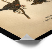 1890 Bird Print Red-winged Black Bird (Hoek)