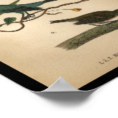 1890 Impression d'oiseaux Bunting Indigo (Coin)