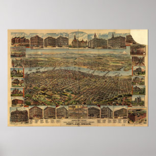 1890 Portland, OF vogelsoorten, Uitzicht panoramie Poster