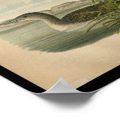 1890 vogelafdrukken leoon poster (Hoek)