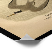 1890 Vogelafdrukken op laatste termijn Poster (Hoek)