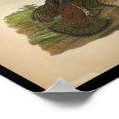 1890 Vogeldraden met ruffed Grouse Poster (Hoek)