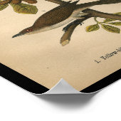 1890 Vogelprinten Gele koekoek Poster (Hoek)