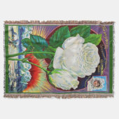 1890s roos catalogusillustratie Witte Rose Deken (Voorkant)