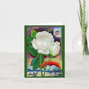 1890s roos catalogusillustratie Witte Rose Notitiekaartje