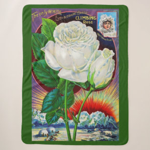 1890s roos catalogusillustratie Witte Rose Sherpa Deken