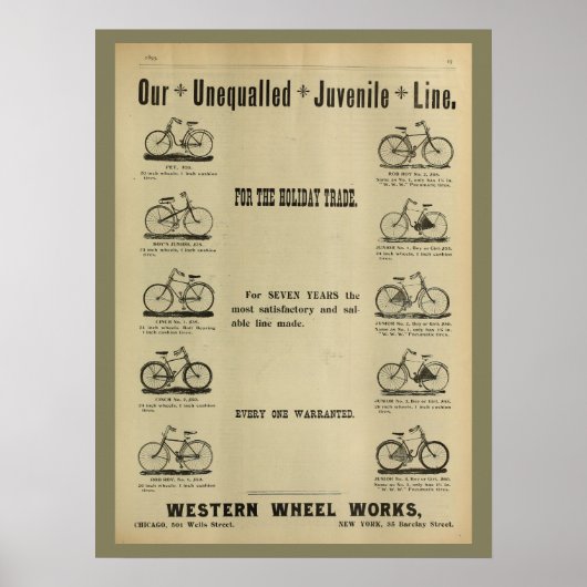 1893 fietsenmagazijn en kunstwerk Poster (Voorkant)