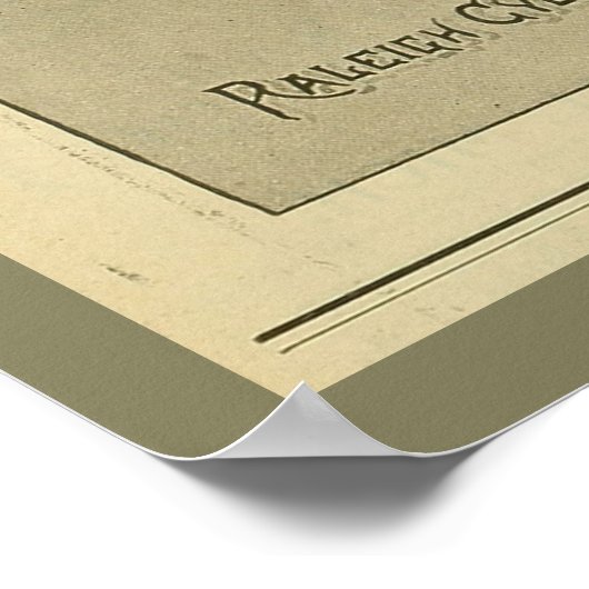 1893 Raleigh Bicycle Magazine Ad Poster (Hoek)