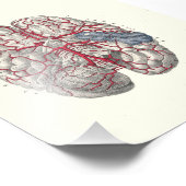 1895 Humaan Anatomy Print Brain Foto Afdruk (Hoek)