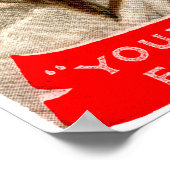 1895 Snoedvis Poster (Hoek)