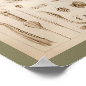 1896 -inktvis-anatomiekunst poster (Hoek)